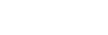 VIVO COLOR